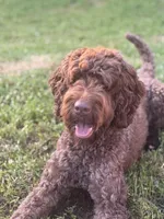 processed/823a2f26-6915-4c37-b203-a19844034dfb/facility/bcef94a9-0bd9-4bbd-875a-73de6025abb9