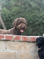 processed/823a2f26-6915-4c37-b203-a19844034dfb/facility/dc173d81-6d65-49a7-8ef9-dc52e39714d2