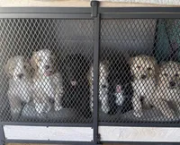 processed/823a2f26-6915-4c37-b203-a19844034dfb/facility/e7a4aea0-68b5-40f2-9824-e2f9f9c81a26