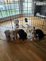 processed/823a2f26-6915-4c37-b203-a19844034dfb/facility/f8166e5a-a42c-4aeb-b4b7-36c5c2333e70