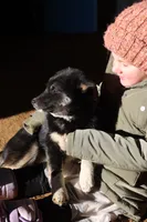 processed/823fc20d-0294-4383-b739-6fe2869726d8/listing/7d2d1bfc-d832-4842-a7c7-bc0e87c8d76f/562e6aa9-170c-4843-bd5c-835e426cf569