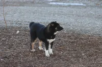 processed/823fc20d-0294-4383-b739-6fe2869726d8/listing/7d2d1bfc-d832-4842-a7c7-bc0e87c8d76f/aa323371-8bf9-42b7-b4e3-07fa88be1bfc