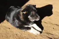 processed/823fc20d-0294-4383-b739-6fe2869726d8/listing/7d2d1bfc-d832-4842-a7c7-bc0e87c8d76f/da9f5e59-8a1a-42d9-b8b9-a99bcb5e1599