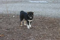 processed/823fc20d-0294-4383-b739-6fe2869726d8/listing/7d2d1bfc-d832-4842-a7c7-bc0e87c8d76f/eb8b226f-1eb2-4b0b-a94c-ff0303e77f6c