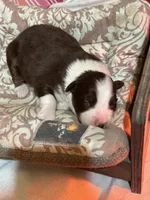 processed/824db565-1616-434d-83a7-6092cb377e5e/listing/5c5b4cd6-e3a4-4b6c-97fe-7851783d9430/839f547c-457c-42ec-a0bd-36e7b441a332