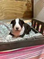 processed/824db565-1616-434d-83a7-6092cb377e5e/listing/5c5b4cd6-e3a4-4b6c-97fe-7851783d9430/d2556f2c-4d91-4cab-9670-020d53a421bd