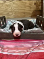 processed/824db565-1616-434d-83a7-6092cb377e5e/listing/5c5b4cd6-e3a4-4b6c-97fe-7851783d9430/dc6d85fb-20de-464a-ab2d-d09eed87fe30