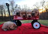 processed/825225e8-5867-4ee5-9c46-ae7260f87b6d/facility/134b6494-547b-47e9-ba08-654a70d51288