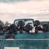 processed/825225e8-5867-4ee5-9c46-ae7260f87b6d/facility/42b1c7ae-6565-4ef3-9f44-8ebe35d84e47