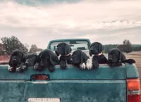 processed/825225e8-5867-4ee5-9c46-ae7260f87b6d/facility/42b1c7ae-6565-4ef3-9f44-8ebe35d84e47