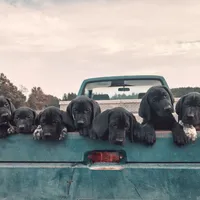 processed/825225e8-5867-4ee5-9c46-ae7260f87b6d/facility/6c625db3-cfa7-43cb-adeb-1f79f06f6ef9