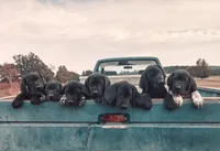 processed/825225e8-5867-4ee5-9c46-ae7260f87b6d/facility/6c625db3-cfa7-43cb-adeb-1f79f06f6ef9