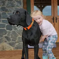 processed/825225e8-5867-4ee5-9c46-ae7260f87b6d/facility/b133df04-36b4-48b3-a877-3ddf01fc48e3