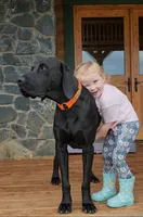 processed/825225e8-5867-4ee5-9c46-ae7260f87b6d/facility/b133df04-36b4-48b3-a877-3ddf01fc48e3