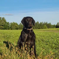 processed/825225e8-5867-4ee5-9c46-ae7260f87b6d/facility/baf8b345-3088-45ee-9bcf-e8da880453d4