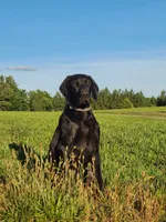 processed/825225e8-5867-4ee5-9c46-ae7260f87b6d/facility/baf8b345-3088-45ee-9bcf-e8da880453d4