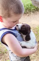 processed/825225e8-5867-4ee5-9c46-ae7260f87b6d/facility/d8b8f41d-6621-40f8-af82-1c8260b8f8f0