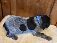 processed/825225e8-5867-4ee5-9c46-ae7260f87b6d/listing/1146eeb2-62ff-48fc-9302-475649e2cc9c/56ca20eb-7bf8-4a33-9377-4497415d834e