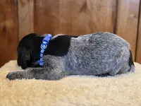 processed/825225e8-5867-4ee5-9c46-ae7260f87b6d/listing/1146eeb2-62ff-48fc-9302-475649e2cc9c/6aa774ca-04c9-4b65-befb-29be3fe04fac