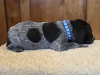 processed/825225e8-5867-4ee5-9c46-ae7260f87b6d/listing/1146eeb2-62ff-48fc-9302-475649e2cc9c/b8922706-2905-446c-86b0-cd1c13b3470c