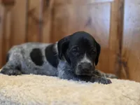 processed/825225e8-5867-4ee5-9c46-ae7260f87b6d/listing/1146eeb2-62ff-48fc-9302-475649e2cc9c/f3316fcd-100e-4c04-8ba4-84443cbf9b43