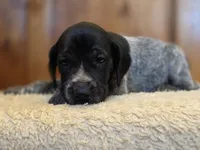 processed/825225e8-5867-4ee5-9c46-ae7260f87b6d/listing/1146eeb2-62ff-48fc-9302-475649e2cc9c/f8aa5634-2e01-4559-9bed-34ccb21cc0cb