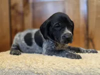 processed/825225e8-5867-4ee5-9c46-ae7260f87b6d/listing/1146eeb2-62ff-48fc-9302-475649e2cc9c/ff2b505d-0119-4c17-a612-cc2dd0fe82d5