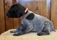 processed/825225e8-5867-4ee5-9c46-ae7260f87b6d/listing/359a992f-71e3-4946-8770-dd50a2c2cd51/16419649-3ab7-4e05-bee7-c4037407e855