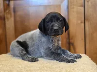 processed/825225e8-5867-4ee5-9c46-ae7260f87b6d/listing/359a992f-71e3-4946-8770-dd50a2c2cd51/40061fc9-93fe-48e8-aba8-f59d85567769