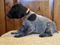 processed/825225e8-5867-4ee5-9c46-ae7260f87b6d/listing/359a992f-71e3-4946-8770-dd50a2c2cd51/4ea9aef5-6372-4307-91cc-1e1fae375f2c