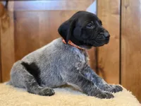 processed/825225e8-5867-4ee5-9c46-ae7260f87b6d/listing/359a992f-71e3-4946-8770-dd50a2c2cd51/55cc1bfd-45c4-42e9-bb5f-8d801c43bbcd