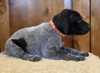 processed/825225e8-5867-4ee5-9c46-ae7260f87b6d/listing/359a992f-71e3-4946-8770-dd50a2c2cd51/59e40cee-8d94-444a-a69d-db0a7e7492e8