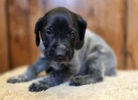 processed/825225e8-5867-4ee5-9c46-ae7260f87b6d/listing/359a992f-71e3-4946-8770-dd50a2c2cd51/7230c87d-9de1-4b90-945b-b2bd64500f39