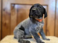 processed/825225e8-5867-4ee5-9c46-ae7260f87b6d/listing/359a992f-71e3-4946-8770-dd50a2c2cd51/f9a754a3-21db-4fac-8e3f-298ad7f64272