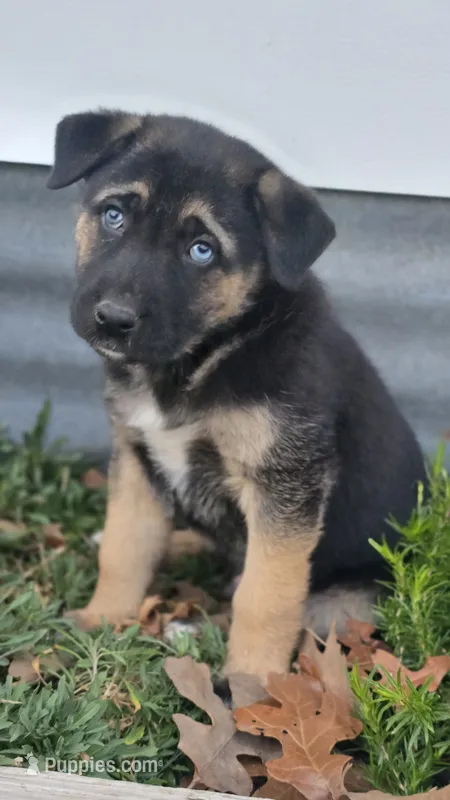 lil miss #2 aka Daisy