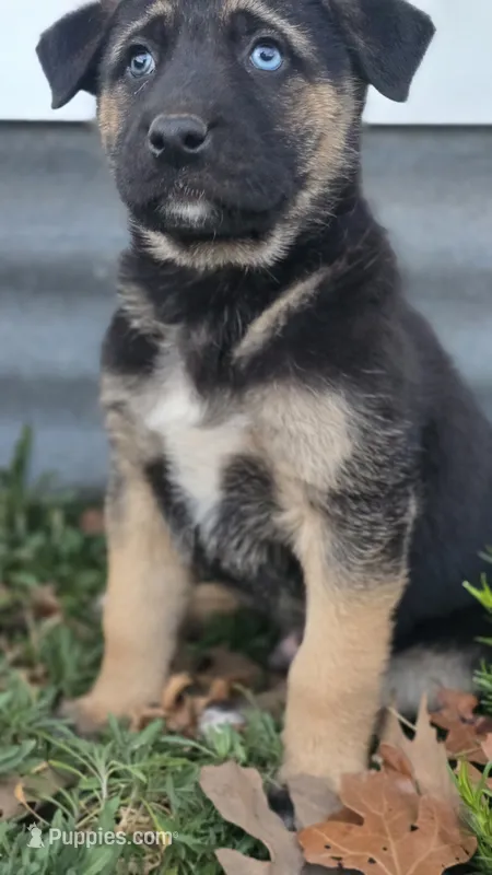 lil miss #2 aka Daisy