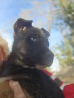 processed/8254e6b7-0ae2-4164-af36-323e8cb1a9bd/listing/f7b2f7d5-40bb-4a73-877a-1d364d1e7f8a/83657046-ca75-43fb-937b-22240fb49220