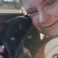 Lil miss #3 aka Rocket, a female German Shepherd Dog for sale in Oklahoma City, OK – Photo 7 of 8