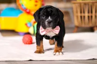 processed/8255f4c5-4bce-4767-a08f-d40a3ea79956/listing/40cab61e-6702-4580-983a-b8720a46caf5/ce52fbac-f1d3-4ac1-b36f-2290c5fbd401