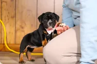 processed/8255f4c5-4bce-4767-a08f-d40a3ea79956/listing/40cab61e-6702-4580-983a-b8720a46caf5/d7e67d1b-34b6-4b71-b76d-4e8b6f041940