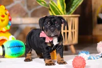 processed/8255f4c5-4bce-4767-a08f-d40a3ea79956/listing/be9fee16-2099-47fd-86fa-948eef3f637a/4b6d9b60-9343-4542-826b-3af31f7430c0