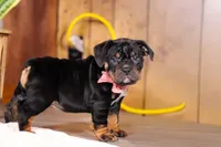 processed/8255f4c5-4bce-4767-a08f-d40a3ea79956/listing/be9fee16-2099-47fd-86fa-948eef3f637a/8308b5cf-da90-4353-aacc-508192b1092b