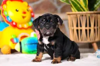 processed/8255f4c5-4bce-4767-a08f-d40a3ea79956/listing/be9fee16-2099-47fd-86fa-948eef3f637a/a516eb48-8c70-4d15-acad-9aacc3592efb