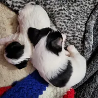 processed/8259e695-3e29-4a01-8946-8471e3f421e1/facility/3552f8a7-a861-4b95-91b9-af70c0026e56