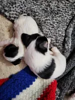 processed/8259e695-3e29-4a01-8946-8471e3f421e1/facility/3552f8a7-a861-4b95-91b9-af70c0026e56