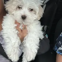 processed/8259e695-3e29-4a01-8946-8471e3f421e1/facility/74476c7a-6db5-4476-8703-6ffc52a3fd21