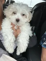 processed/8259e695-3e29-4a01-8946-8471e3f421e1/facility/74476c7a-6db5-4476-8703-6ffc52a3fd21