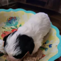 processed/8259e695-3e29-4a01-8946-8471e3f421e1/facility/c2373bee-b94f-48ff-b088-fc530d9a9415