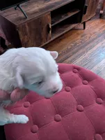 processed/8259e695-3e29-4a01-8946-8471e3f421e1/listing/0cbe8f31-b2f2-4914-8908-e308b5ca21f9/16940982-fed4-44b4-82f7-9ef1b45f961c