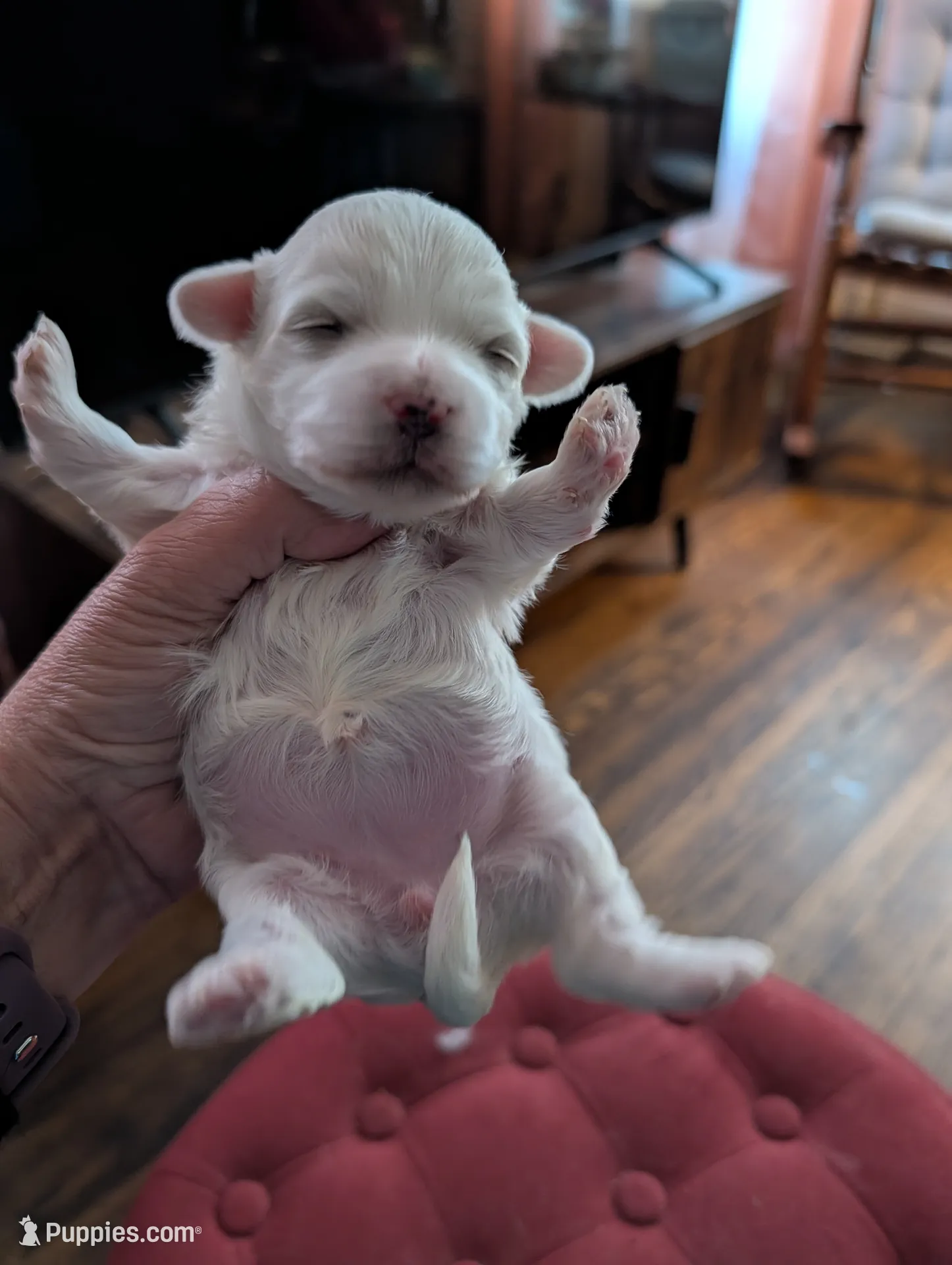 processed/8259e695-3e29-4a01-8946-8471e3f421e1/listing/0cbe8f31-b2f2-4914-8908-e308b5ca21f9/9293d445-c54f-4bd1-88a1-1974e2042478